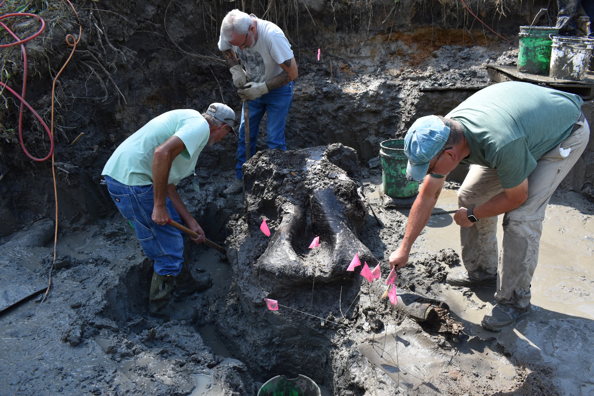 Iowa Excavates Its First-Ever Mastodon Fossil